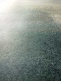 16650496780619-cottodestebodenwonderwall100x300colorballetc3plus3000x1000
