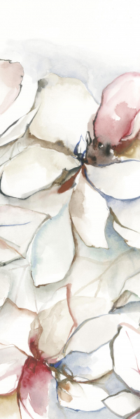 16650497681363-cottodestebodenwonderwall100x300lotusc3plus3000x1000