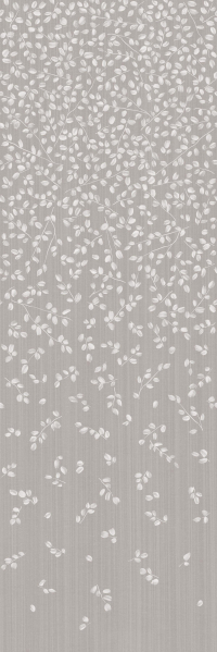 1665049874459-cottodestebodenwonderwall100x300zenb3plus3000x1000x35