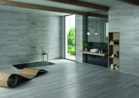 16660226868413-vivabodenmetallica30x6030x60steel