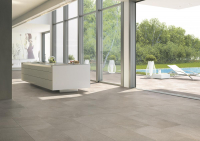 16751699013556-casalgrandebodenamazzonia60x60dragongrey