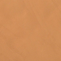 16757903014984-fapbodencolornow305x915rtcolornowcurcuma