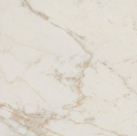 16757909401322-fapbodenromagoldwalltiles50x120rtromagold50x120calacattadelicatobrillante