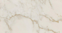 16757909464052-fapbodenromagoldwalltiles305x56rtromagold305x56calacattadelicatobrillante
