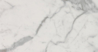 16757909492247-fapbodenromagoldwalltiles305x56rtromagold305x56carrarasuperiorebrillante