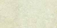 16769825458053-emilceramicabodenlandscape30x6030x60landscapeavoriosilktechrt