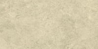 1676982556107-emilceramicabodenlandscape30x6030x60landscapesabbiasilktechrt