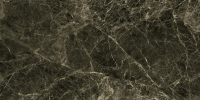 16769836978597-emilceramicabodenteledimarmo30x6030x60frapuccpollocklaluc