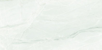 16769846903188-emilceramicabodenteledimarmoselection60x120600x1200teledimarmoselectionwhiteparadisenatrt