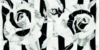 16769846944207-emilceramicabodenteledimarmoselection60x120600x1200teledimarmoselectiontarsiafulllapprt