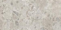 16800853895689-marazzibodencaracter60x120caracterstr