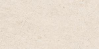 16800854037161-marazzibodencaracter30x60caracterstr
