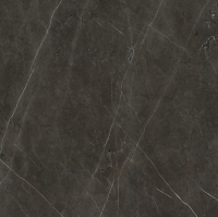 1684229894897-caesarbodenanima60x60rt4pz