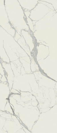 16842299243994-caesarbodenanima120x278silk