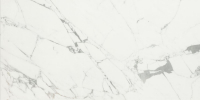16842299589904-caesarbodenanima60x120lucidato