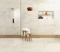 16842299678022-caesarbodenanima30x60lucidato7pz