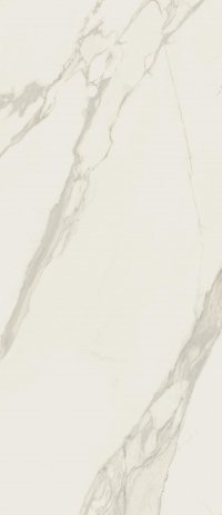 16842299814639-caesarbodenanima120x278lucidato