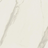 16842299904621-caesarbodenanima120x1201195lucidato