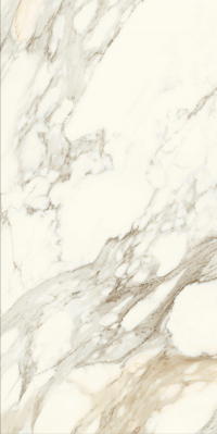 16842300081017-caesarbodenanimaever60x120rtmatt