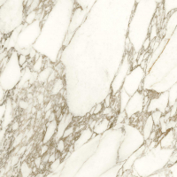 16842300171179-caesarbodenanimaever80x80lucidato