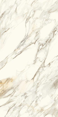 16842300245808-caesarbodenanimaever80x160lucidato