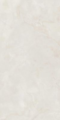 16842300300672-caesarbodenanimaever80x160lucidato