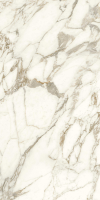 16842300384471-caesarbodenanimaever60x120lucidato