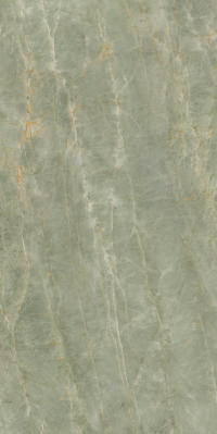16842300443056-caesarbodenanimaever60x120lucidato