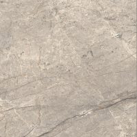 16842300971517-caesarbodenanimafutura60x60mattrt
