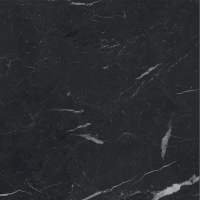 16842300992109-caesarbodenanimafutura60x60mattrt