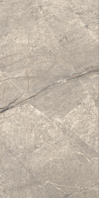 16842301061199-caesarbodenanimafutura60x120mattrt
