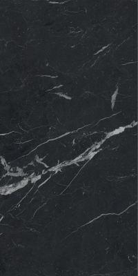 16842301087788-caesarbodenanimafutura60x120mattrt