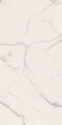 16842301123448-caesarbodenanimafutura30x60mattrt