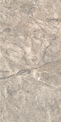 16842301142843-caesarbodenanimafutura30x60mattrt