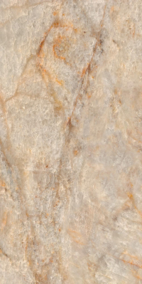 16842301479318-caesarbodenanimafutura60x120lucidatort