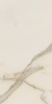 16842301522427-caesarbodenanimafutura30x60lucidatort