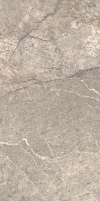16842301560154-caesarbodenanimafutura30x60lucidatort