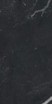 1684230158085-caesarbodenanimafutura30x60lucidatort