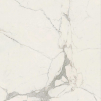 16842301890057-caesarbodenanimafutura120x1201195lucidatort