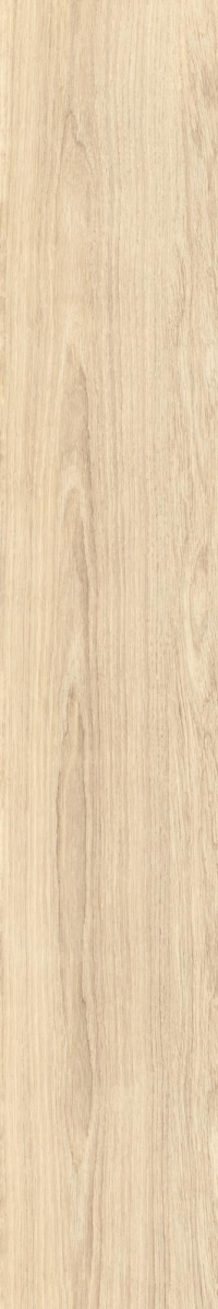 16843152169991-caesarbodenfabula20x120mattrt