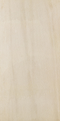 16843159195583-caesarbodenportraits60x120extragriprt