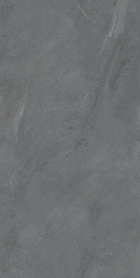 16843159723398-caesarbodenportraits162x324mattnra