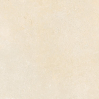 16843163970134-caesarbodenshapesofit60x60mattrt