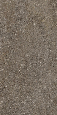 16843164727772-caesarbodenshapesofit30x60mattrt