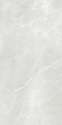 16897603510893-energiekerbodenpietragrey60x120
