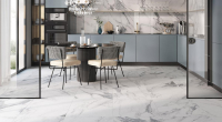 16941796111644-rondinebodencanova60x120