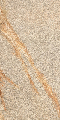 16941800345647-rondinebodenlecave305x605