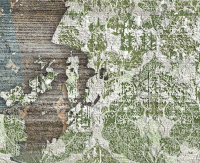 16999569446011-stonbodenthindigital100x300bourette