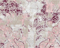 16999569487429-stonbodenthindigital100x300arazzo