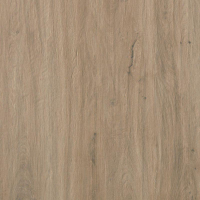 17006645182529-casalgrandebodentavolato30x120tavolatomarronechiaro
